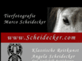 scheidecker.com