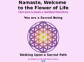 thefloweroflife333.com