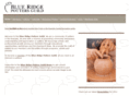 blueridgepotters.com
