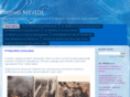 hezretimehdi.org