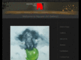 nguyenartgallery.com