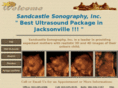 sandcastlefetalpics.com