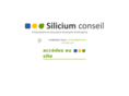 silicium-conseil.com