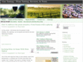 vinetasting.com