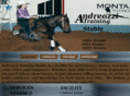 andreozzitraining.com