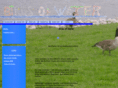 birdsofwater.com