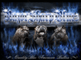 blueamericanbully.com