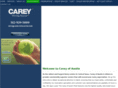 careyofaustin.com
