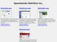 speedwindsblog.com
