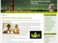 bayareagreencarpetcleaning.com
