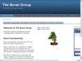 bonzigroup.com
