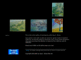 brownfineart.com