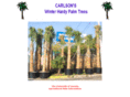 carlsons.org