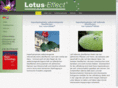 lotus-effect.net