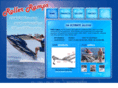 roller-ramps.com