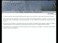 thewebgeneration.com