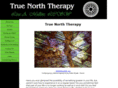 true-north-therapy.com