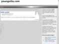 youngvilla.com