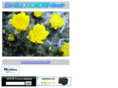 fineair.org