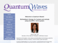 quantumwavesbiofeedback.com