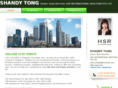 shandytong.com