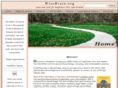 wisebrain.org