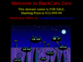 blackcats.com