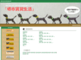 chinese-dns.com