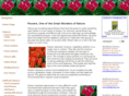 flowersnatural.com