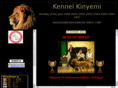 kinyemi.com