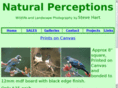 naturalperceptions.com