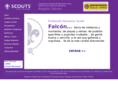 scoutsfalcon.org