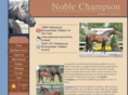 noblechampion.com