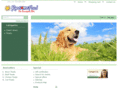 rawsomepetfoods.com