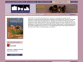 sedonaverdevalleynewcomersguide.com