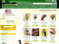 theflowersgift.com