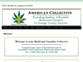 americancollective.com