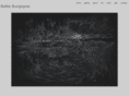 betteburgoyne.com