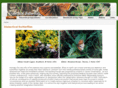 dialecticalbutterflies.com