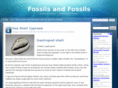 fossilsandfossils.com