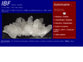 ibf-importexport.com