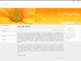leisamills.com