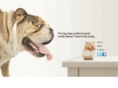 socialhamsters.com