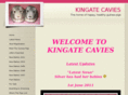 kingatecavies.com