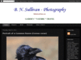 bnsullivanphoto.com