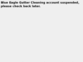 blueeagleguttercleaning.com