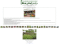 brooksidegardencenter.com