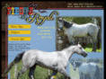 fiestaroyale.com