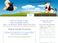 groomingschoolonline.com