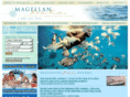 magellan21st.com